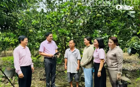 Lãnh đạo Ngân hàng Chính sách xã hội kiểm tra việc sử dụng vốn vay tại xã Diên Khánh